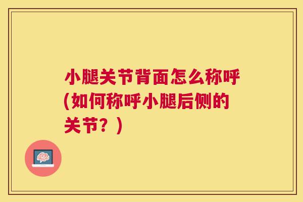 小腿关节背面怎么称呼(如何称呼小腿后侧的关节？)