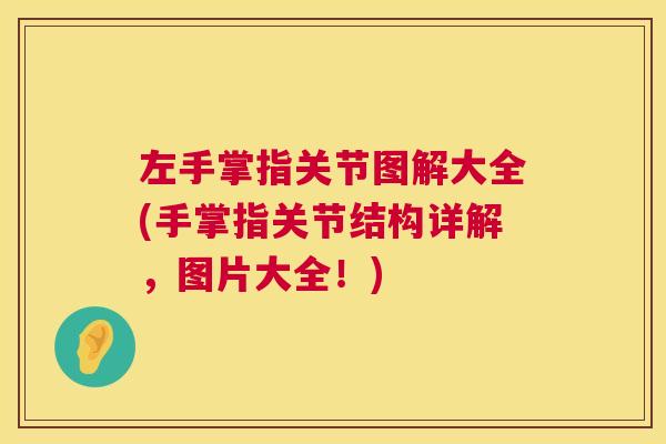 左手掌指关节图解大全(手掌指关节结构详解，图片大全！)