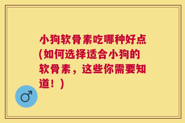 小狗软骨素吃哪种好点(如何选择适合小狗的软骨素，这些你需要知道！)
