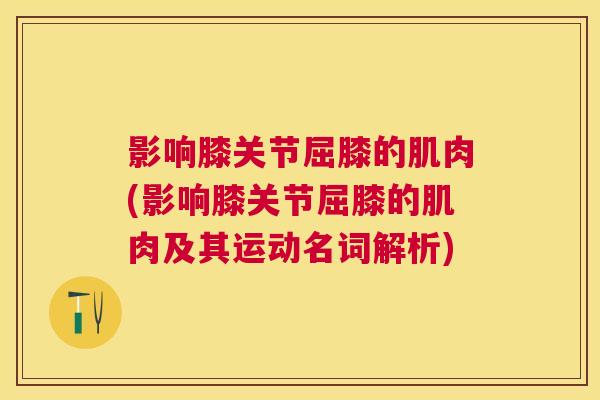 影响膝关节屈膝的肌肉(影响膝关节屈膝的肌肉及其运动名词解析)