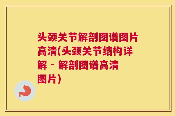 头颈关节解剖图谱图片高清(头颈关节结构详解 - 解剖图谱高清图片)