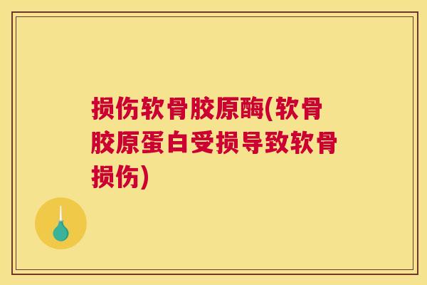损伤软骨胶原酶(软骨胶原蛋白受损导致软骨损伤)