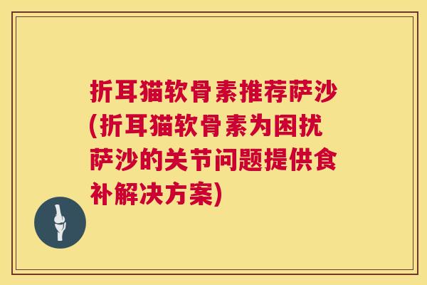 折耳猫软骨素推荐萨沙(折耳猫软骨素为困扰萨沙的关节问题提供食补解决方案)