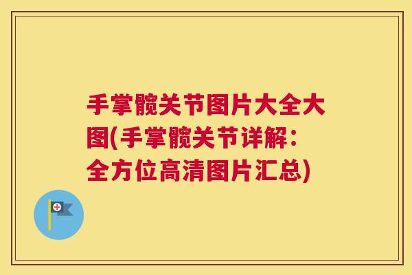 手掌髋关节图片大全大图(手掌髋关节详解：全方位高清图片汇总)