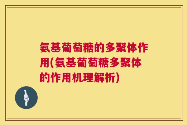 氨基葡萄糖的多聚体作用(氨基葡萄糖多聚体的作用机理解析)