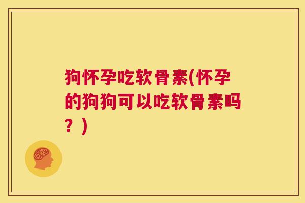 狗怀孕吃软骨素(怀孕的狗狗可以吃软骨素吗？)