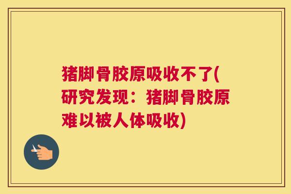 猪脚骨胶原吸收不了(研究发现：猪脚骨胶原难以被人体吸收)