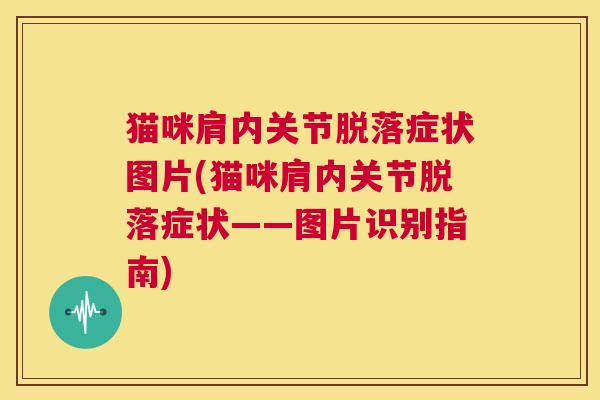 猫咪肩内关节脱落症状图片(猫咪肩内关节脱落症状——图片识别指南)