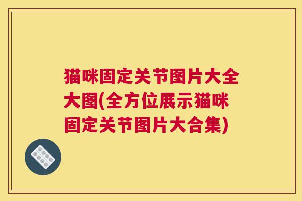 猫咪固定关节图片大全大图(全方位展示猫咪固定关节图片大合集)
