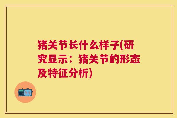 猪关节长什么样子(研究显示：猪关节的形态及特征分析)