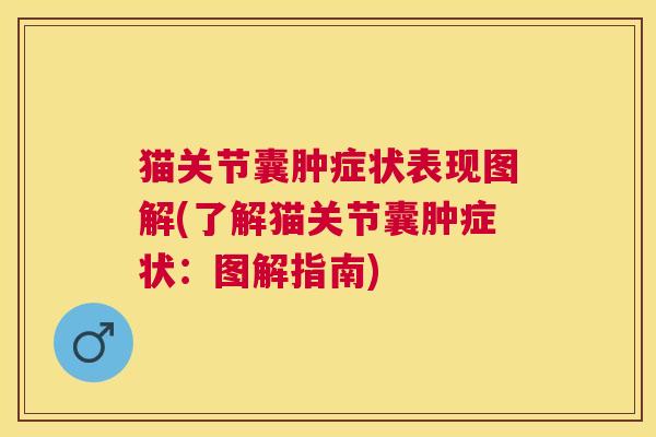 猫关节囊肿症状表现图解(了解猫关节囊肿症状：图解指南)