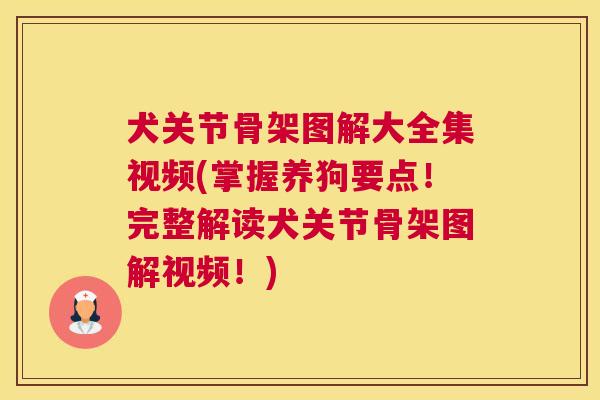 犬关节骨架图解大全集视频(掌握养狗要点！完整解读犬关节骨架图解视频！)