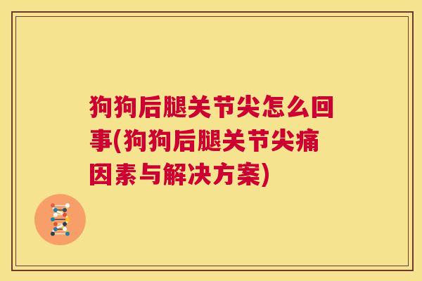 狗狗后腿关节尖怎么回事(狗狗后腿关节尖痛因素与解决方案)