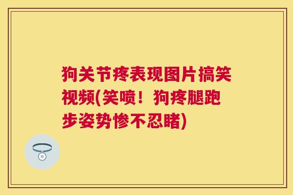狗关节疼表现图片搞笑视频(笑喷！狗疼腿跑步姿势惨不忍睹)