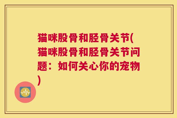猫咪股骨和胫骨关节(猫咪股骨和胫骨关节问题：如何关心你的宠物)