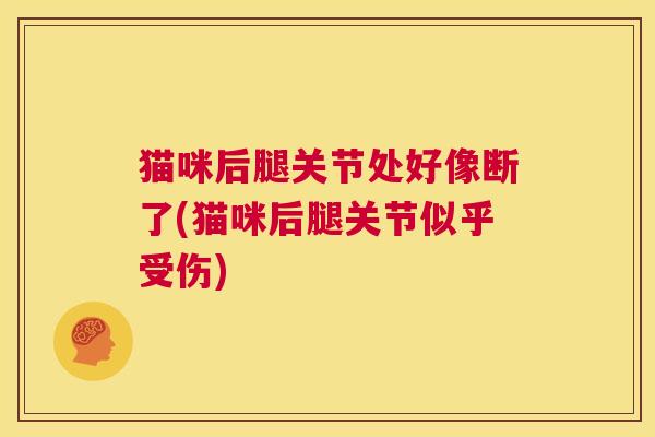 猫咪后腿关节处好像断了(猫咪后腿关节似乎受伤)