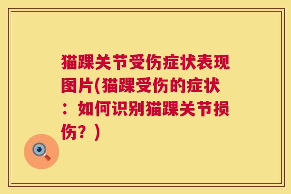 猫踝关节受伤症状表现图片(猫踝受伤的症状：如何识别猫踝关节损伤？)