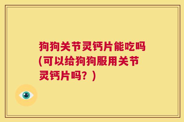 狗狗关节灵钙片能吃吗(可以给狗狗服用关节灵钙片吗？)