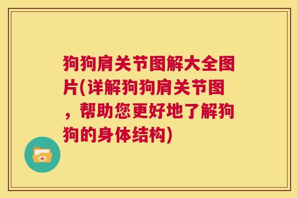 狗狗肩关节图解大全图片(详解狗狗肩关节图，帮助您更好地了解狗狗的身体结构)