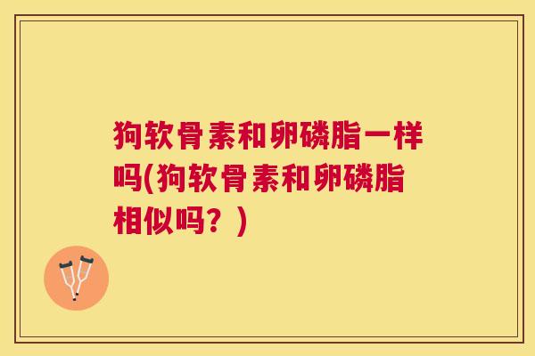 狗软骨素和卵磷脂一样吗(狗软骨素和卵磷脂相似吗？)