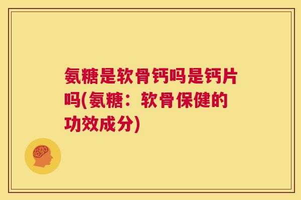 氨糖是软骨钙吗是钙片吗(氨糖：软骨保健的功效成分)