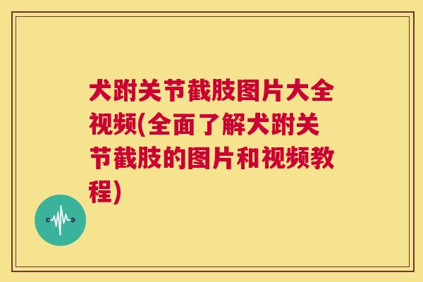 犬跗关节截肢图片大全视频(全面了解犬跗关节截肢的图片和视频教程)