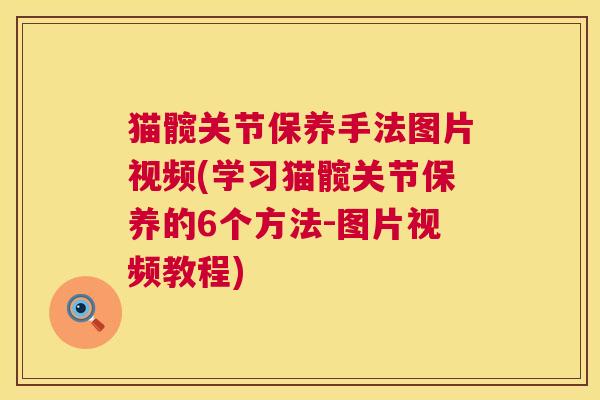 猫髋关节保养手法图片视频(学习猫髋关节保养的6个方法-图片视频教程)