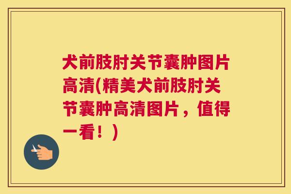 犬前肢肘关节囊肿图片高清(精美犬前肢肘关节囊肿高清图片，值得一看！)