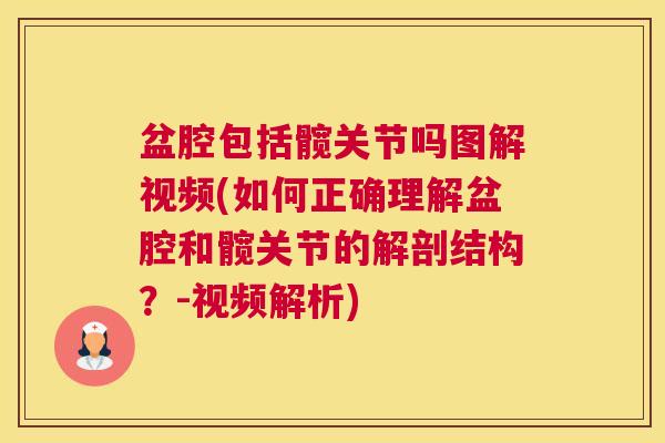 盆腔包括髋关节吗图解视频(如何正确理解盆腔和髋关节的解剖结构？-视频解析)
