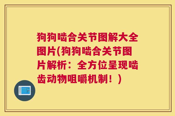 狗狗啮合关节图解大全图片(狗狗啮合关节图片解析：全方位呈现啮齿动物咀嚼机制！)
