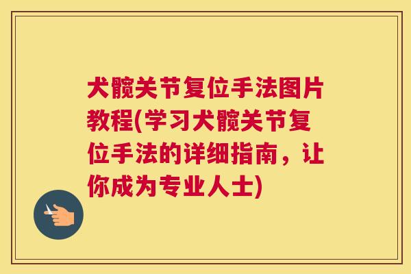 犬髋关节复位手法图片教程(学习犬髋关节复位手法的详细指南，让你成为专业人士)