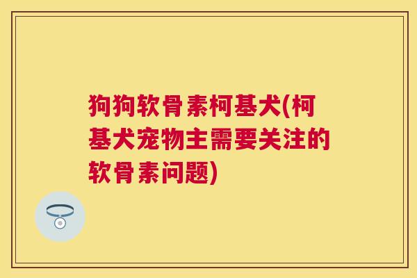 狗狗软骨素柯基犬(柯基犬宠物主需要关注的软骨素问题)
