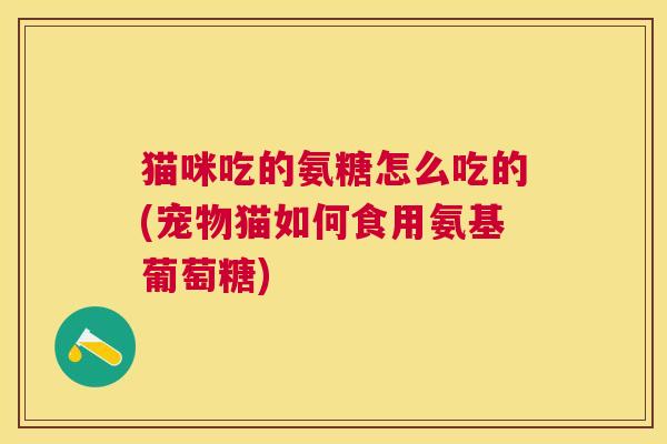 猫咪吃的氨糖怎么吃的(宠物猫如何食用氨基葡萄糖)