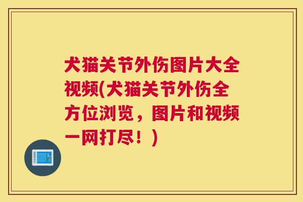 犬猫关节外伤图片大全视频(犬猫关节外伤全方位浏览，图片和视频一网打尽！)