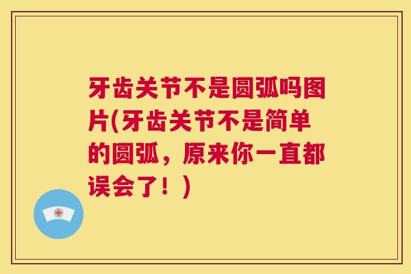 牙齿关节不是圆弧吗图片(牙齿关节不是简单的圆弧，原来你一直都误会了！)
