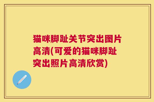 猫咪脚趾关节突出图片高清(可爱的猫咪脚趾突出照片高清欣赏)