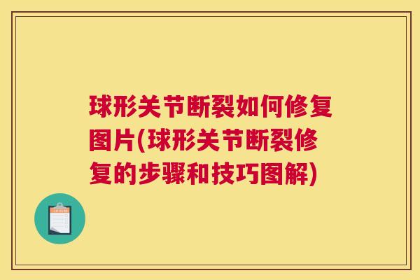 球形关节断裂如何修复图片(球形关节断裂修复的步骤和技巧图解)