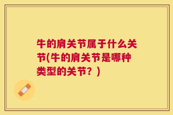 牛的肩关节属于什么关节(牛的肩关节是哪种类型的关节？)