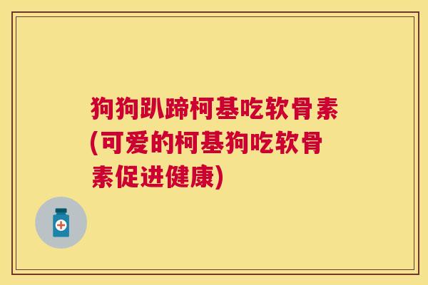 狗狗趴蹄柯基吃软骨素(可爱的柯基狗吃软骨素促进健康)