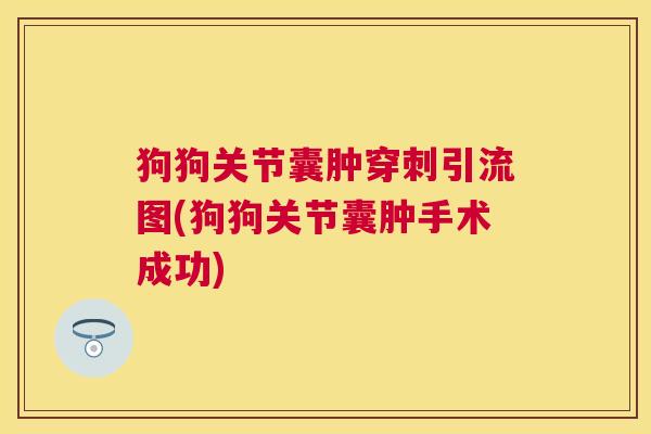 狗狗关节囊肿穿刺引流图(狗狗关节囊肿手术成功)
