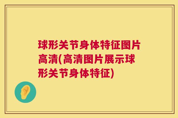 球形关节身体特征图片高清(高清图片展示球形关节身体特征)