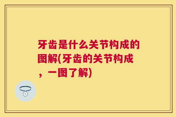 牙齿是什么关节构成的图解(牙齿的关节构成，一图了解)