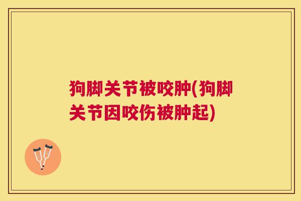 狗脚关节被咬肿(狗脚关节因咬伤被肿起)