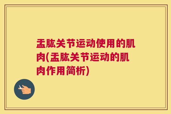 盂肱关节运动使用的肌肉(盂肱关节运动的肌肉作用简析)