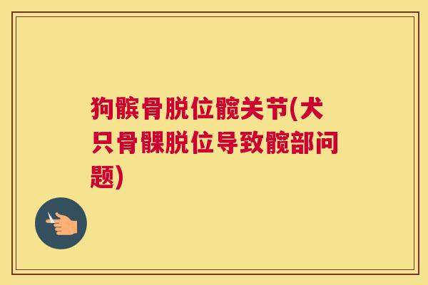 狗髌骨脱位髋关节(犬只骨髁脱位导致髋部问题)