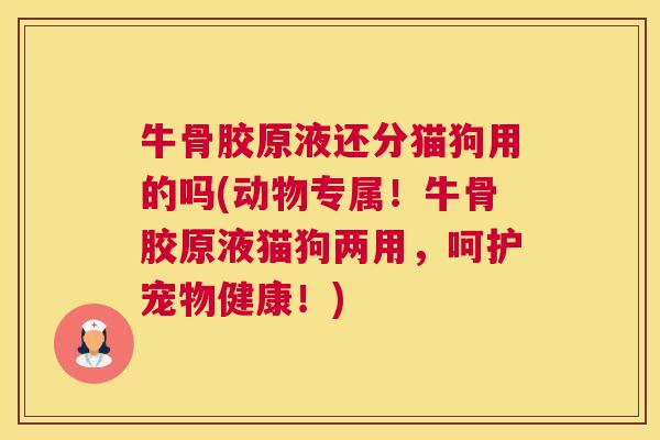 牛骨胶原液还分猫狗用的吗(动物专属！牛骨胶原液猫狗两用，呵护宠物健康！)