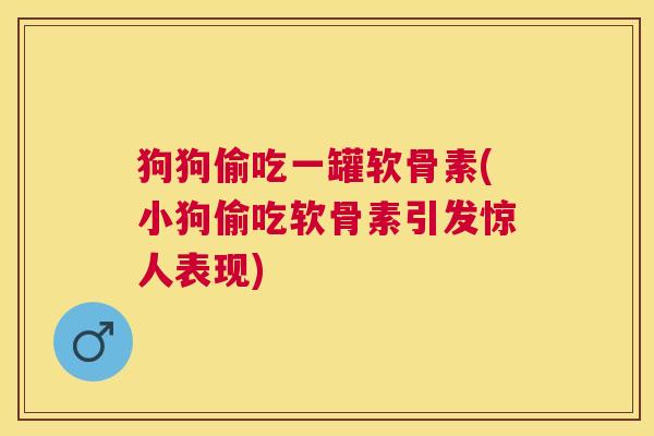 狗狗偷吃一罐软骨素(小狗偷吃软骨素引发惊人表现)