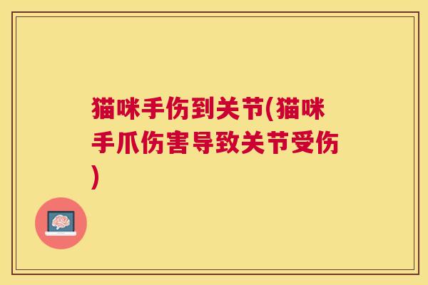 猫咪手伤到关节(猫咪手爪伤害导致关节受伤)