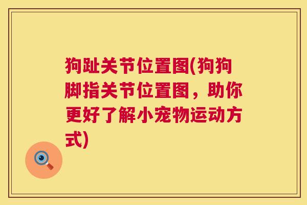 狗趾关节位置图(狗狗脚指关节位置图，助你更好了解小宠物运动方式)