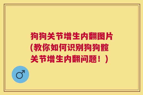 狗狗关节增生内翻图片(教你如何识别狗狗髋关节增生内翻问题！)